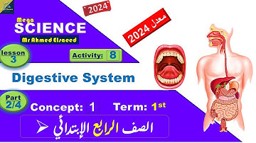 Grade 4 | Science | Unit 1 - Concept 1 - Lesson 3 - Part (2/4) | Digestive System