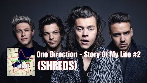 One Direction - Story Of My Life #2 (SHREDS)