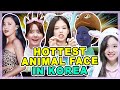 ANIMAL FACE TYPES in Korea! What K-POP IDOLS mean when they say 'I LIKE DOG STYLE'?