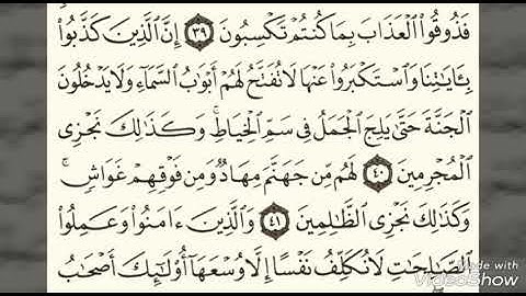 صوت تخشع له القلوب تلاوة في غاية الجمال لشيخ جمال خيري