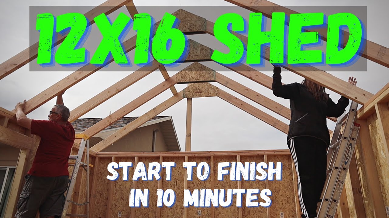 Building a MONSTER Homestead Shed - FULL BUILD