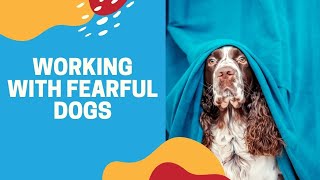 Working with Fearful Dogs