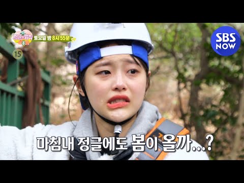[정글의법칙] 예고 &amp;#39;봄 <strong>특집</strong> in 제주! 너무 힘들어서 봄인가 봄..&amp;#39; / &amp;#39;Law of the Jungle&amp;#39; Preview | SBS <strong>NOW</strong>