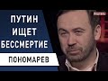 Чайничек кипит! В Хабаровске сорвало крышку, но от Украины не отстанут: Илья Пономарев