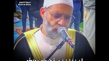 تلاوة تُذيب القلب من الشيخ حسن صالح (استجيبوا لربكم)