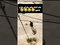 فرحة تاع باك هكذا لمن تتمناها جاب الباك وقعد ينقز في شارع تخلطت هبل هبل هبل