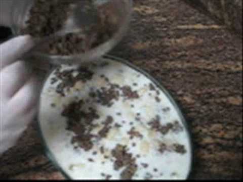 Pasta With Cooked Yogurt معكرونه باللبن الرايب Youtube