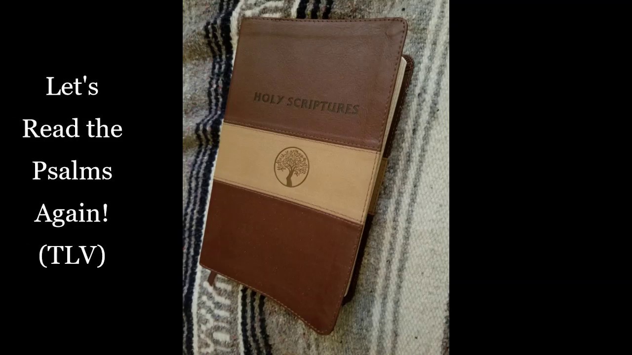 let-s-read-the-psalms-again-psalm-39-make-me-know-the-number-of-my