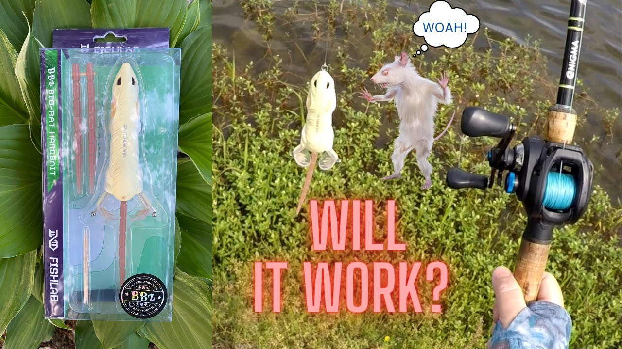 Lure Review of the FISHLAB BBZ BIO RAT!