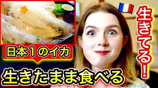日本で一番美味しいイカを生きたまま食べてみたら 想像を遥かに超えた Youtube