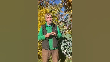 Seeds are the original disruptive technology. And! They reproduce themselves whereas computers can’t