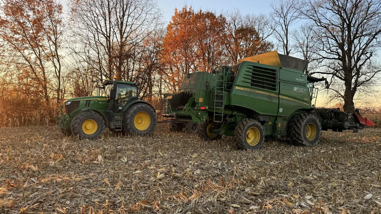 Kukurydza 2025 I John Deere T560i I JD6250R I Zasław I Geringhoff