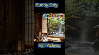 A sunny morning at a Japanese ryokan ☀️🍵 #shorts #relax #asmr #cozy #japan