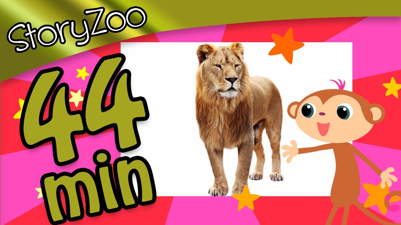 Mega Woorden Leren Compilatie 3 • 44 minuten • StoryZoo