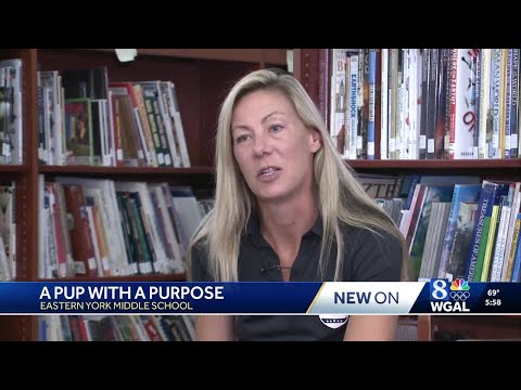PJ has first day as therapy dog at Eastern York Middle School