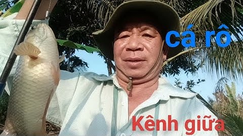 Tiếp tục câu cá ở kênh giữa tháp Mười đồng tháp cá rô mề bự ghê thiệt