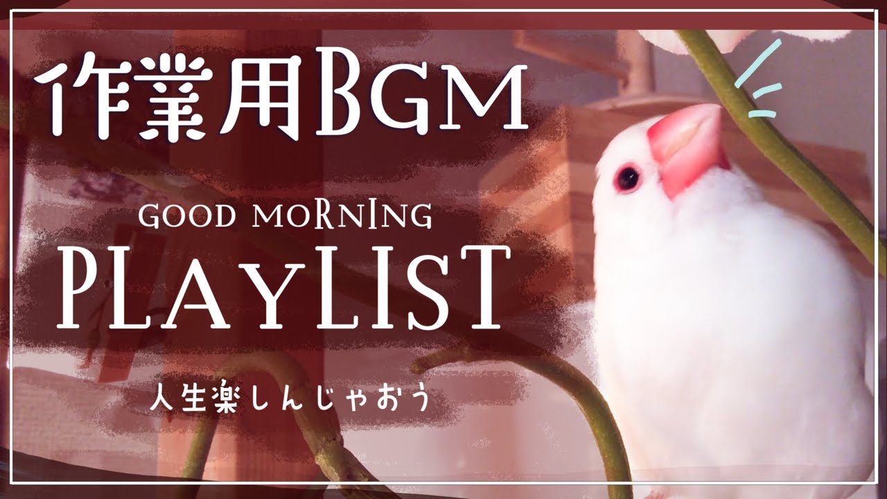 【作業用BGM♪】明るく楽しむ鳥さんたちの音楽👍【広告なし・no ads】Music of brightly enjoying birds【PLAYLIST】【放鳥風景】【作業用】
