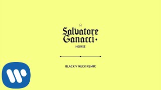 Salvatore Ganacci - Horse (Black V Neck Remix) [Official Audio]