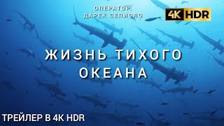 ЖИЗНЬ ТИХОГО ОКЕАНА (2024) – ТРЕЙЛЕР В 4K HDR.