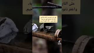 سبحانه وبحمده رب تبارك اسمه