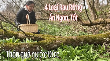 Đi hái rau rừng, 4 loại rau tự mọc xanh mướt, ăn ngon | Người Việt ở Đức | Cuộc sống nông thôn ở Đức