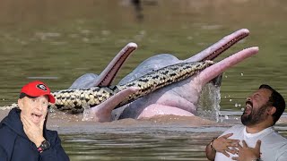 Divers React to Outrageous Marine Animal Facts