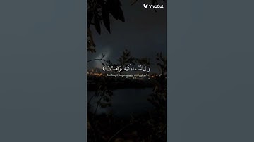 افلا ينظرون الى الابل كيف خلقت والى السماء كيف رفعت #اكسبلور #لايك #راحه_نفسيه قران كريم 🤍🎀🌟