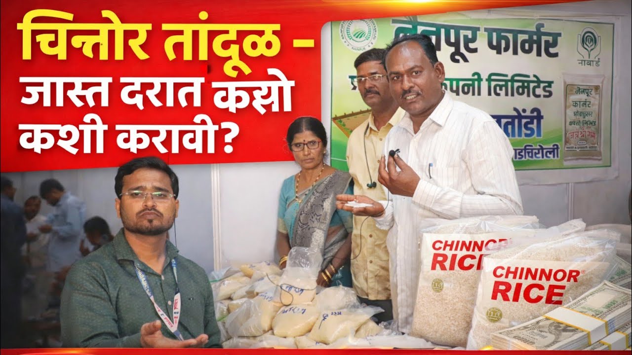 चिन्नोर तांदूळ #rice #test #trending #business #rules #farming #gadchiroli #rice #tractor #jobsearch