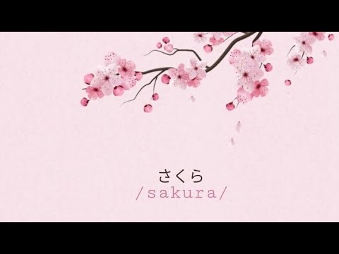 Xcho "Sakura"