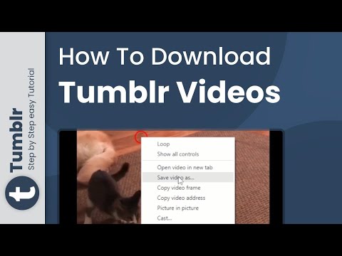 How to download Tumblr videos 2023 (Simple Solution)