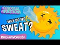 Understanding Sweating