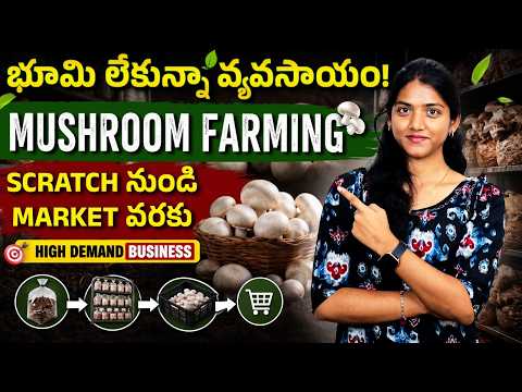 చిన్న రూమ్‌తో మొదలై లక్షల్లో ఆదాయం? | Mushroom Farming Telugu | Oyster, Milky & More