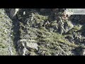 Snow Leopard hunting in Mongolia