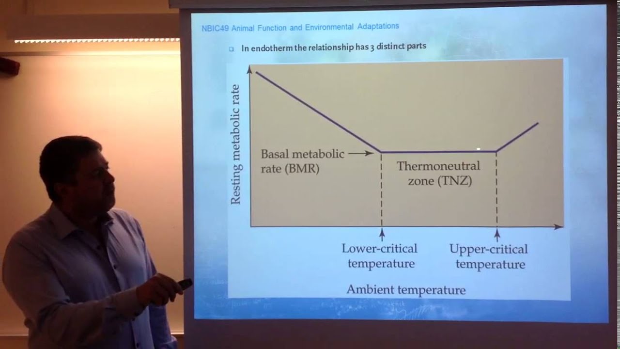 Water and heat balance. 1. Trade-offs and costs of thermoregulation