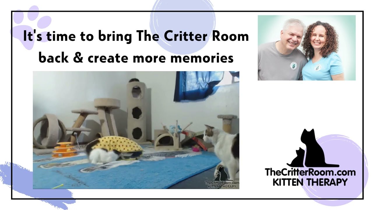 It's time to bring back The Critter Room