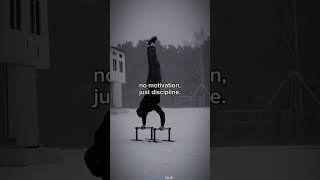 #disciplined#personalgrowth #perseverance #personaldevelopment#hardwork #mindset #succesrules#quotes