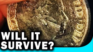 Will This Silver Coin Survive In Bleach?