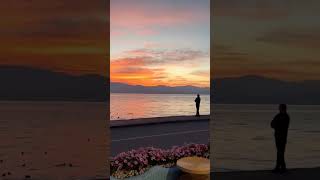 夙愿之约 张智焓_713