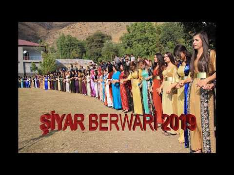 Şiyar Berwari - - Cizre Düğünleri - 2021  -FOTO BARIŞ