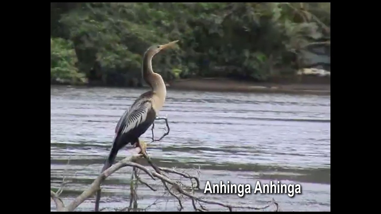 Vacation 2024 Seria 1 Part 2a, Costa Rica, San Jose and Tortuguero