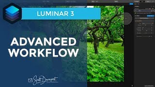 Luminar 3 - Advanced Workflow