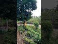 Aku diam bukan tidak peduli #quotes #motivasidiri #motivasihidup #plog #shortvideo #shortsviral #fyp
