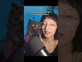 Mi gato intenta hacer ASMR #asmrvozbaja #gatitos #cats #catshorts #gatostiernos #asmr #asmrespañol