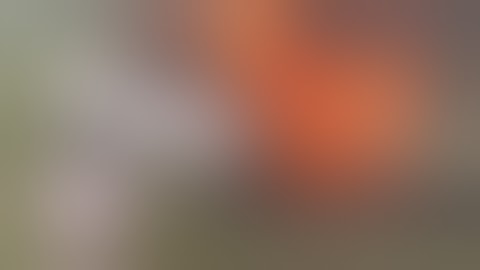 Need For Speed: Shift 2 Unleashed - "Realism" Trailer