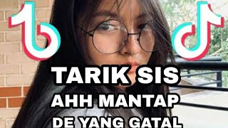 DJ TIKTOK TERBARU 2020! DJ AH MANTAP x TARIK SIS x DE YANG GATAL GATAL