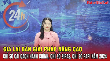 Gia Lai bàn giải pháp nâng cao Chỉ số Cải cách hành chính, Chỉ số SIPAS, Chỉ số PAPI năm 2024