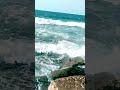 متعولش الهم ومتخافش ربنا موجود متعولش الهم ومتخافش ربنا موجود