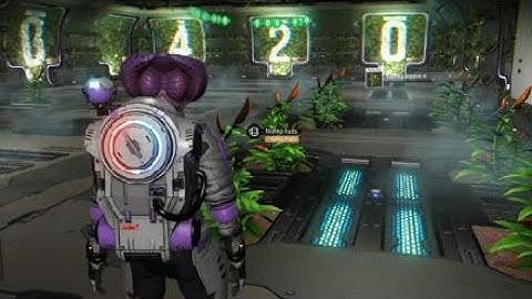 Gek nip grow room