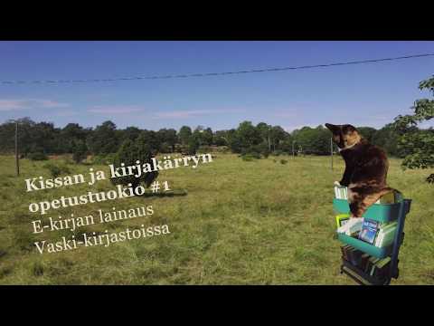 Video: Tiede Kissasi Raapivan Kielen Takana