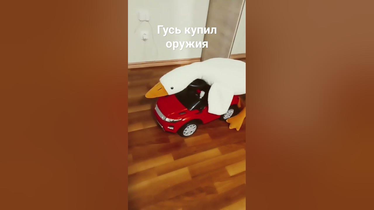 гусь купил оружия - YouTube